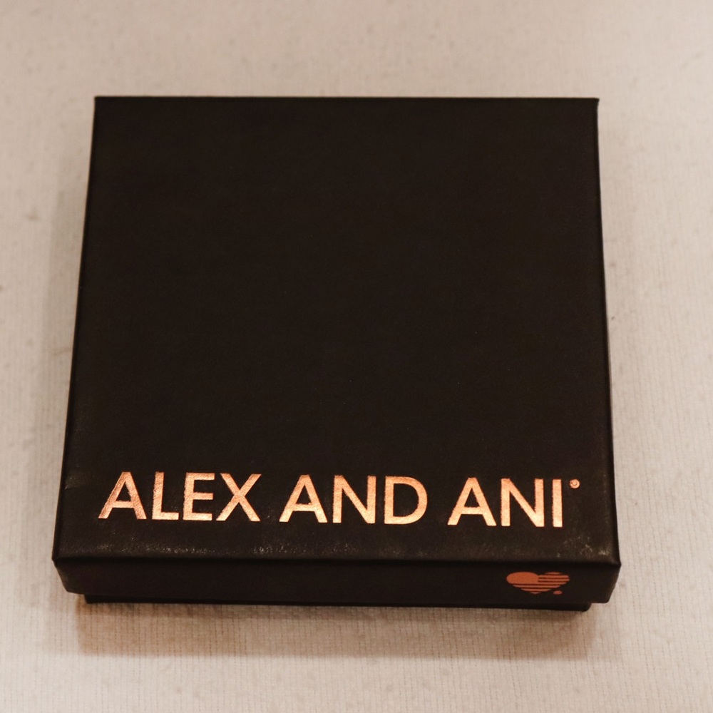 Alex & Ani Godspeed Silver Bangle Bracelet